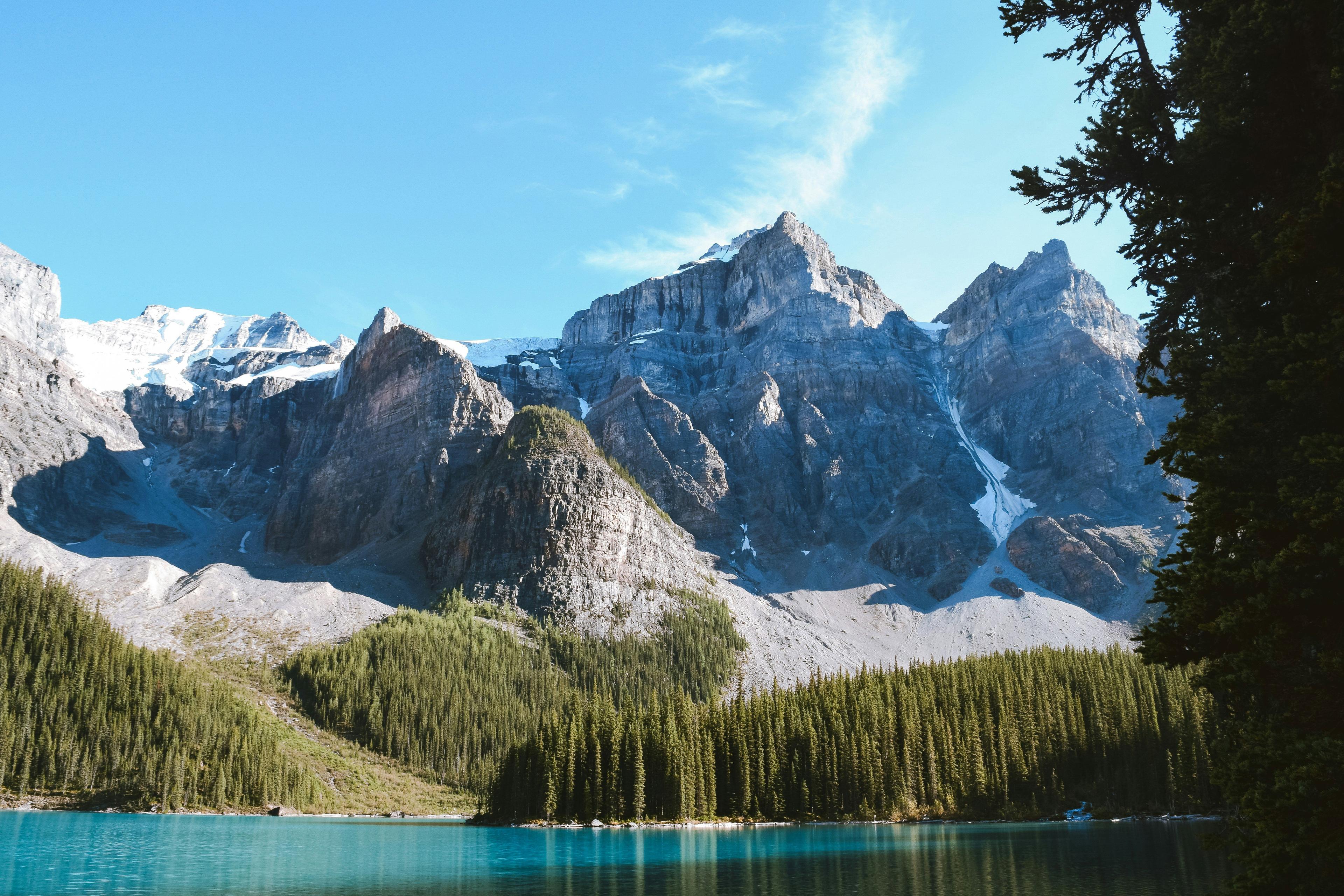 LA CHASSE DANS LA RÉGION DE L'ALBERTA, CANADA: CARACTÉRISTIQUES GÉOGRAPHIQUES, ESPÈCES EMBLÉMATIQUES, ET CALANDRIER DES SAISONS DE CHASSE