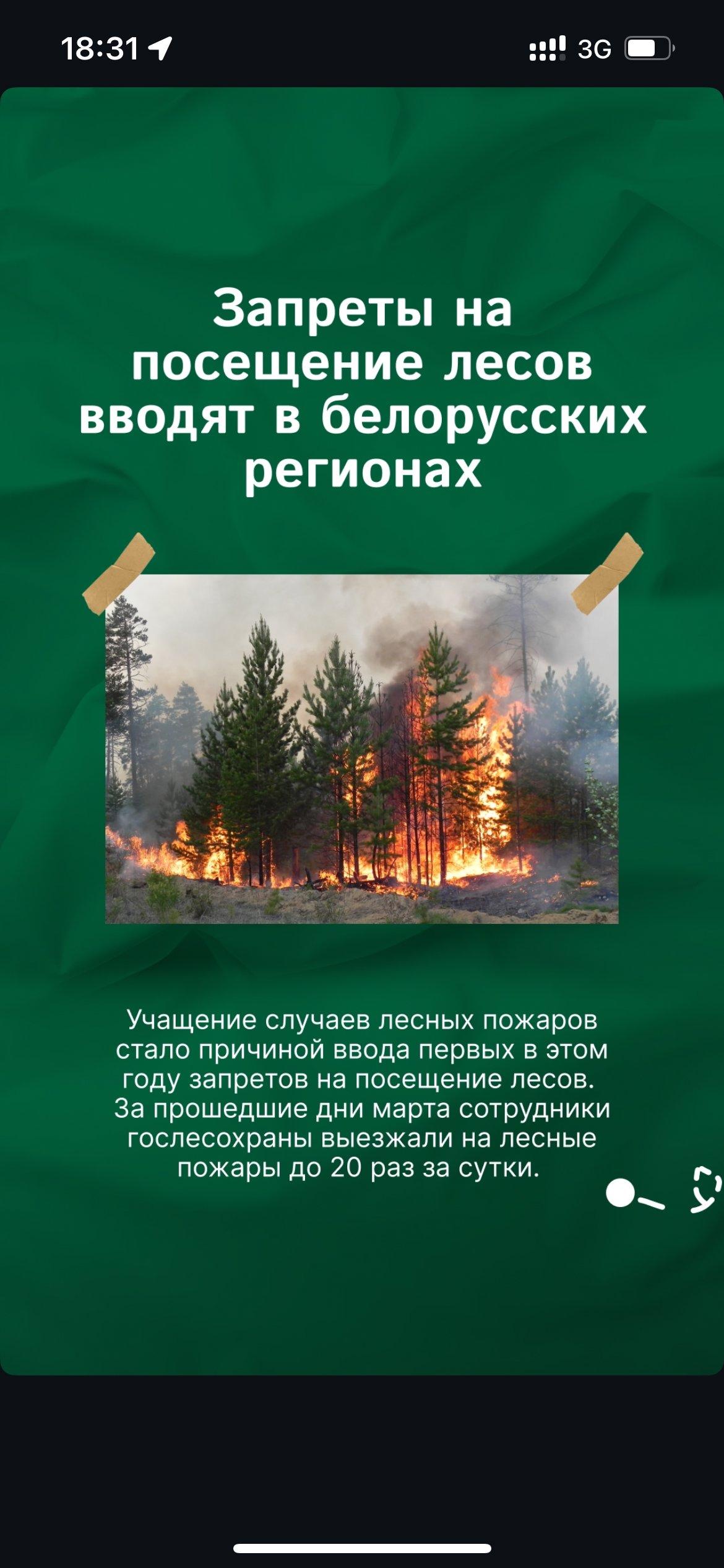 Карта запретов и ограничений на посещение лесов в районах Республики Беларусь