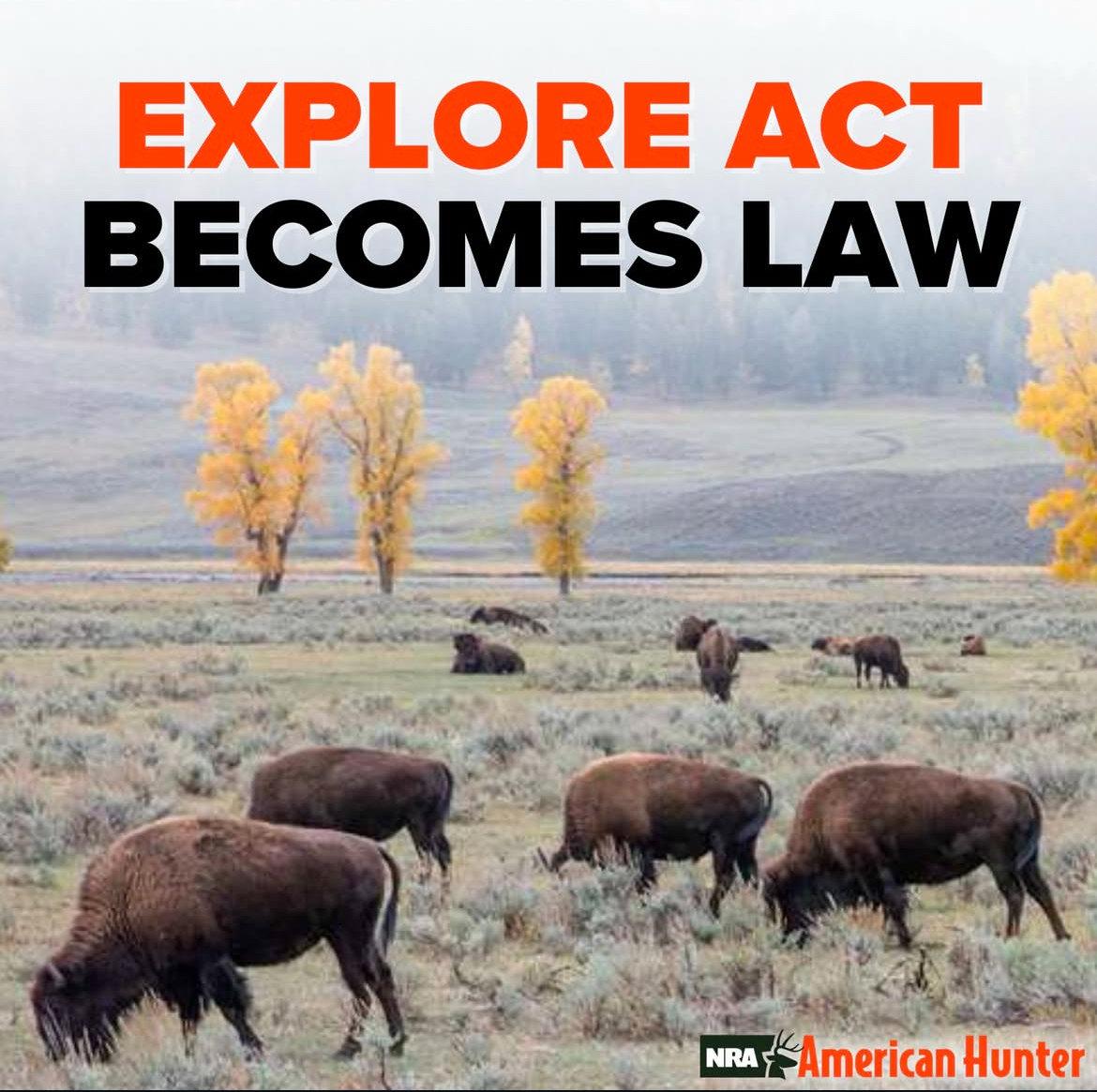 (NRA - National Rifle Association)
