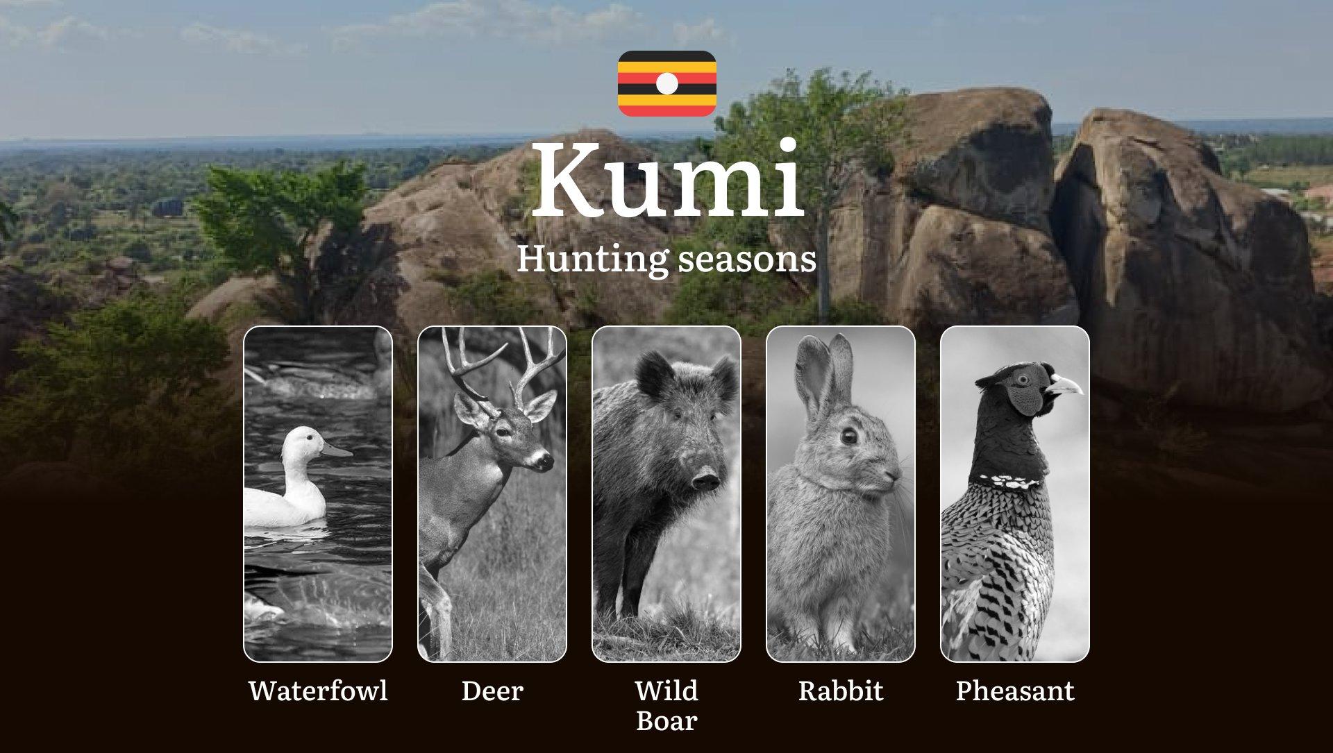 Hunting Date Ranges in Kumi: Hunting Periods, Legal Limits, Licensing Rules, Fines, and Strategic Planning