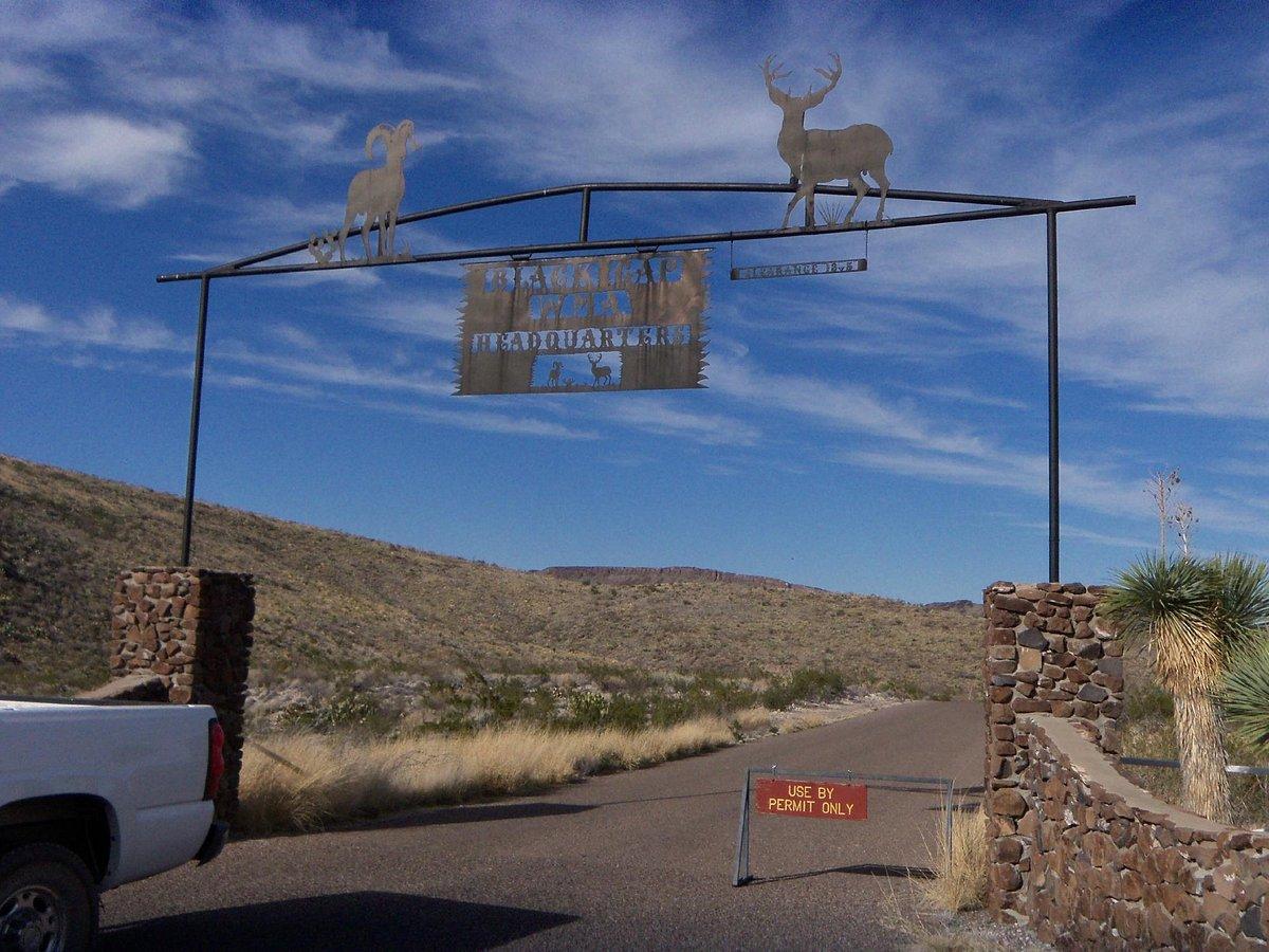 Spend a few days hunting quail here.