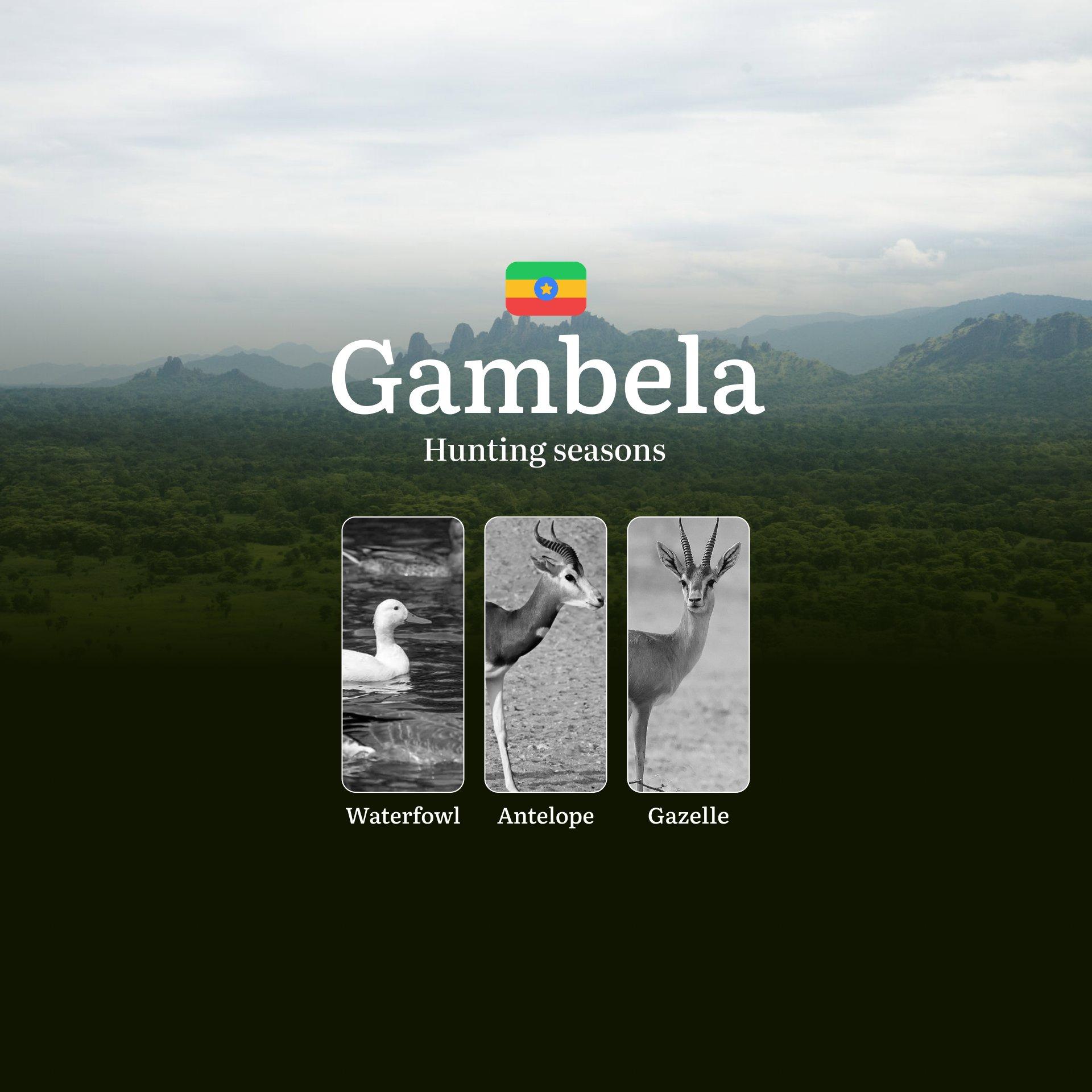 GAMBELA Region, Ethiopia: Hunting Seasons and Timing, Regulations and Licensing, Required Documents and Procedures, Tips for Hunters