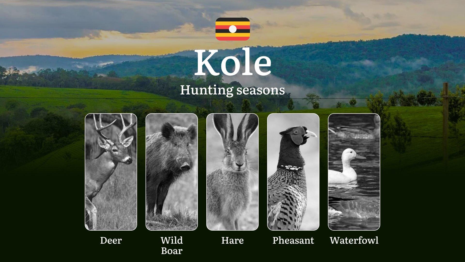 Seasonal Hunting Periods in Kole: Limits and Seasonal Prohibitions, Licensing Conditions, Fines and Legal Effects of Non-Compliance, Strategic Preparation, Best Hunting Times, Gear Choices