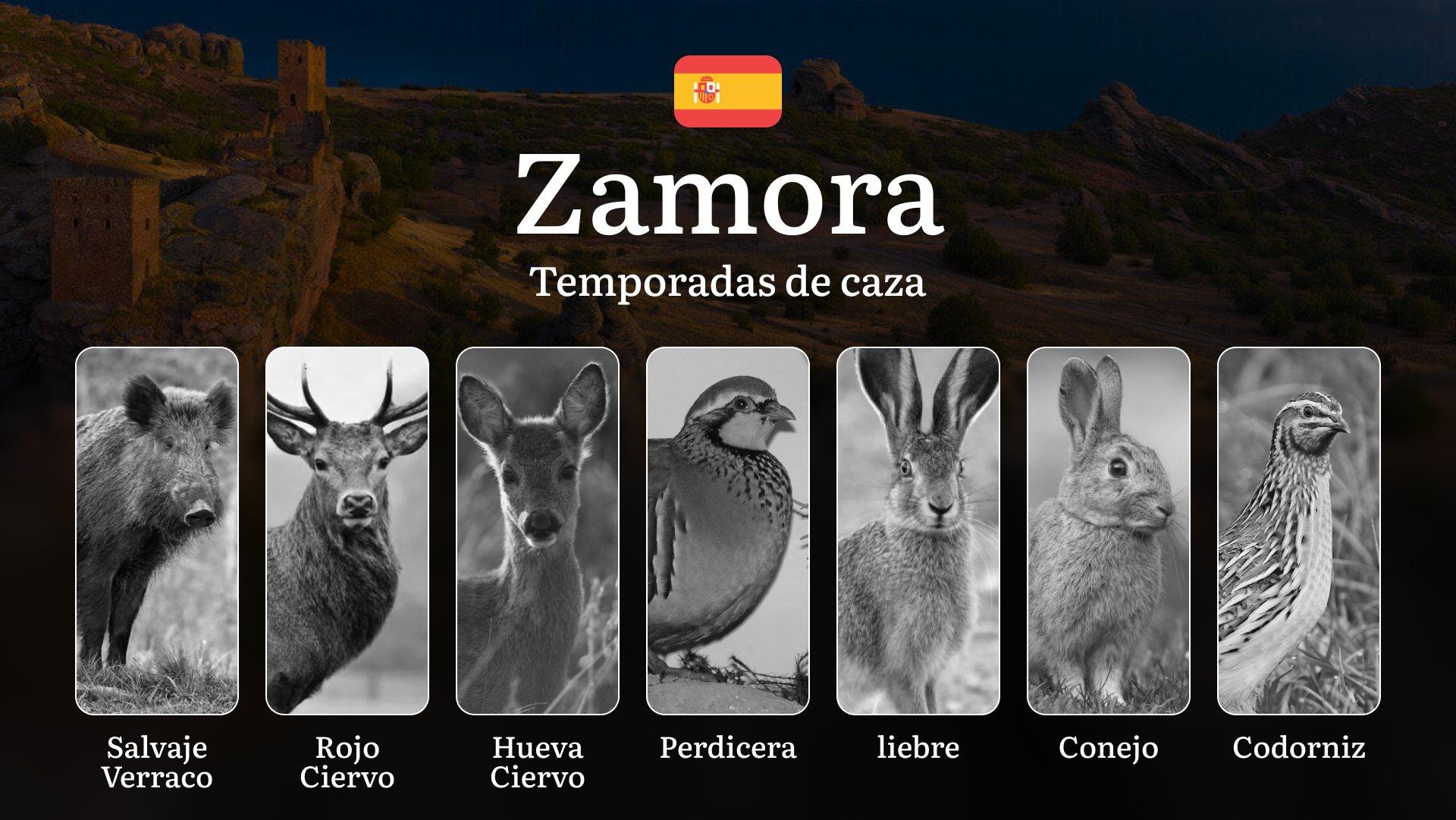 Normativa Cinegética de ZAMORA: Temporadas y períodos de caza, Especies y Requisitos Legales para Cazadores
