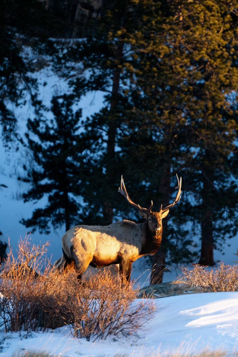 This guy definitely had the spot light on him and he knew it