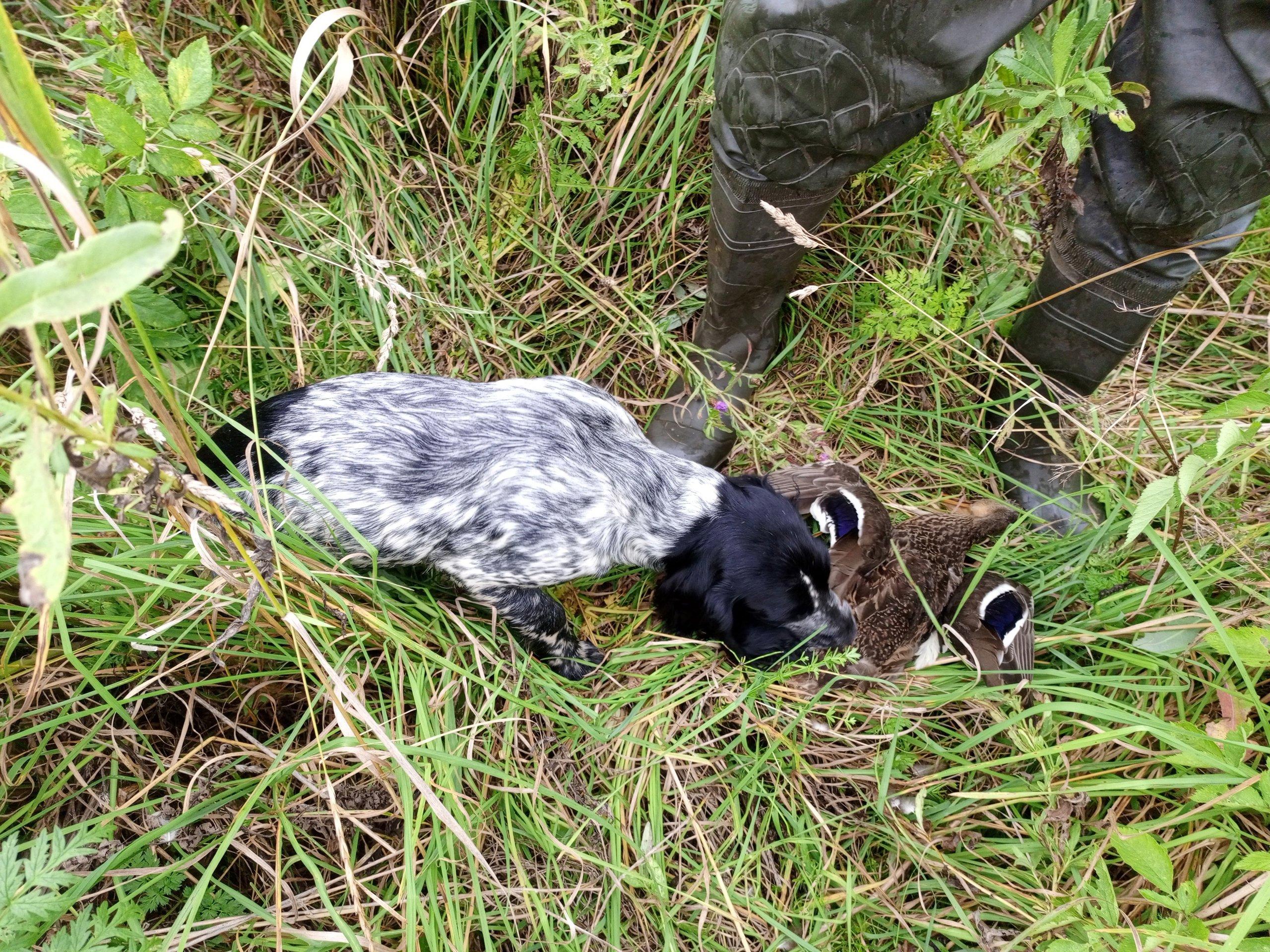 ja me töötame!