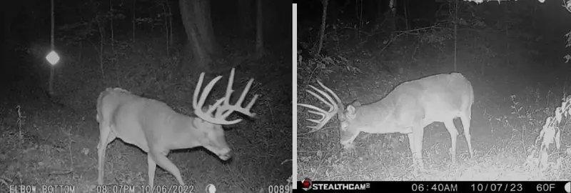 New York Hunter Gets a Second Chance on This 180-Inch Buck
