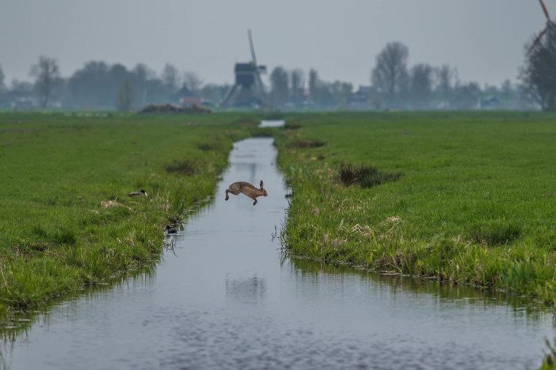 IN HET ZONNETJE VANDAAG!
