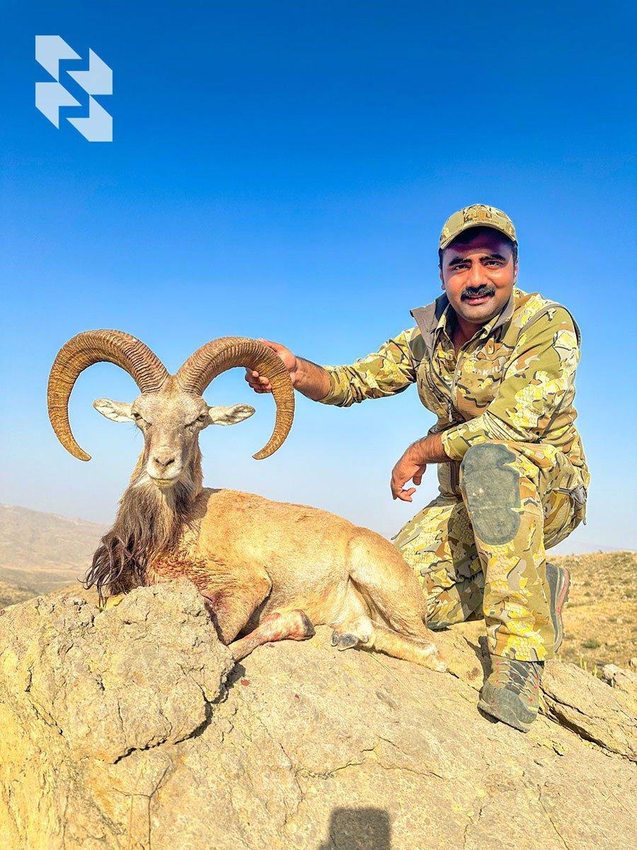 Asian rarities from 🇵🇰 Pakistan