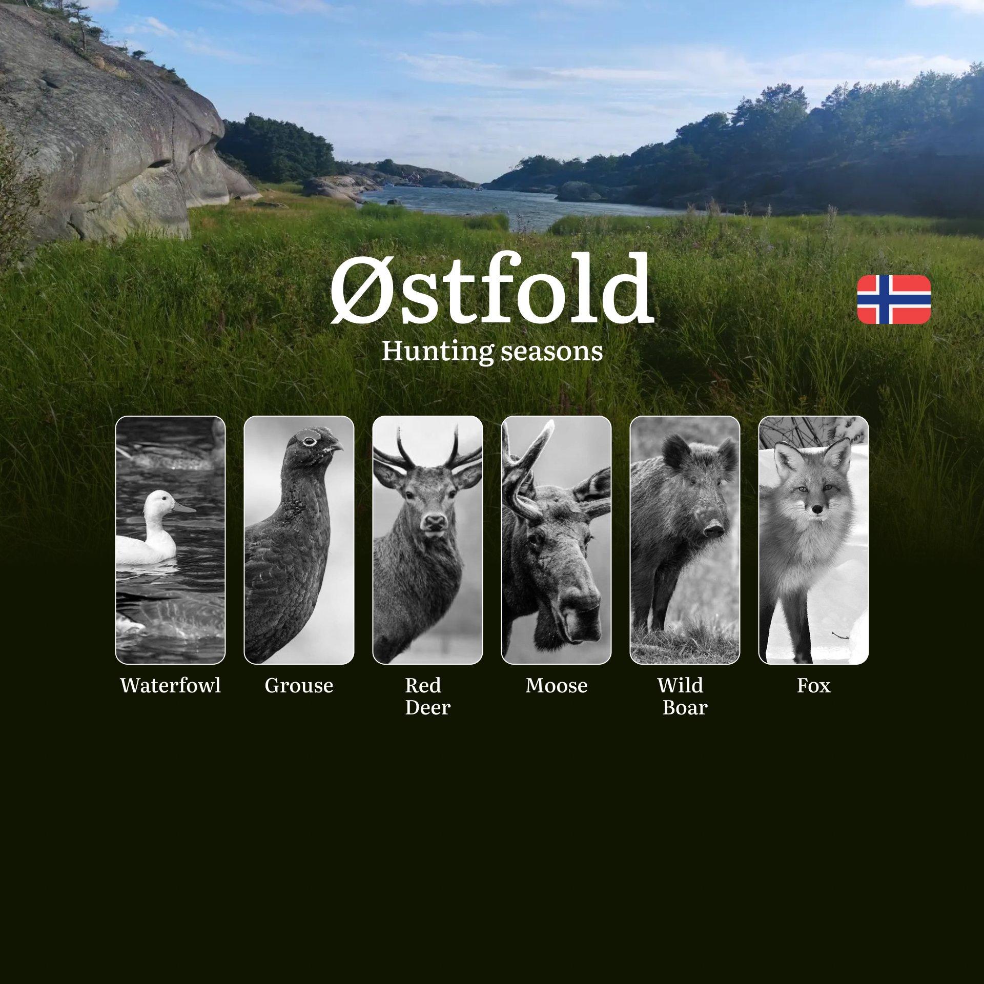 Hunting Periods and Local Rules in Østfold: Species You Can Hunt Throughout the Year, Seasonal Activity of Game, and the Steps to Get a Legal Hunting License in the Region