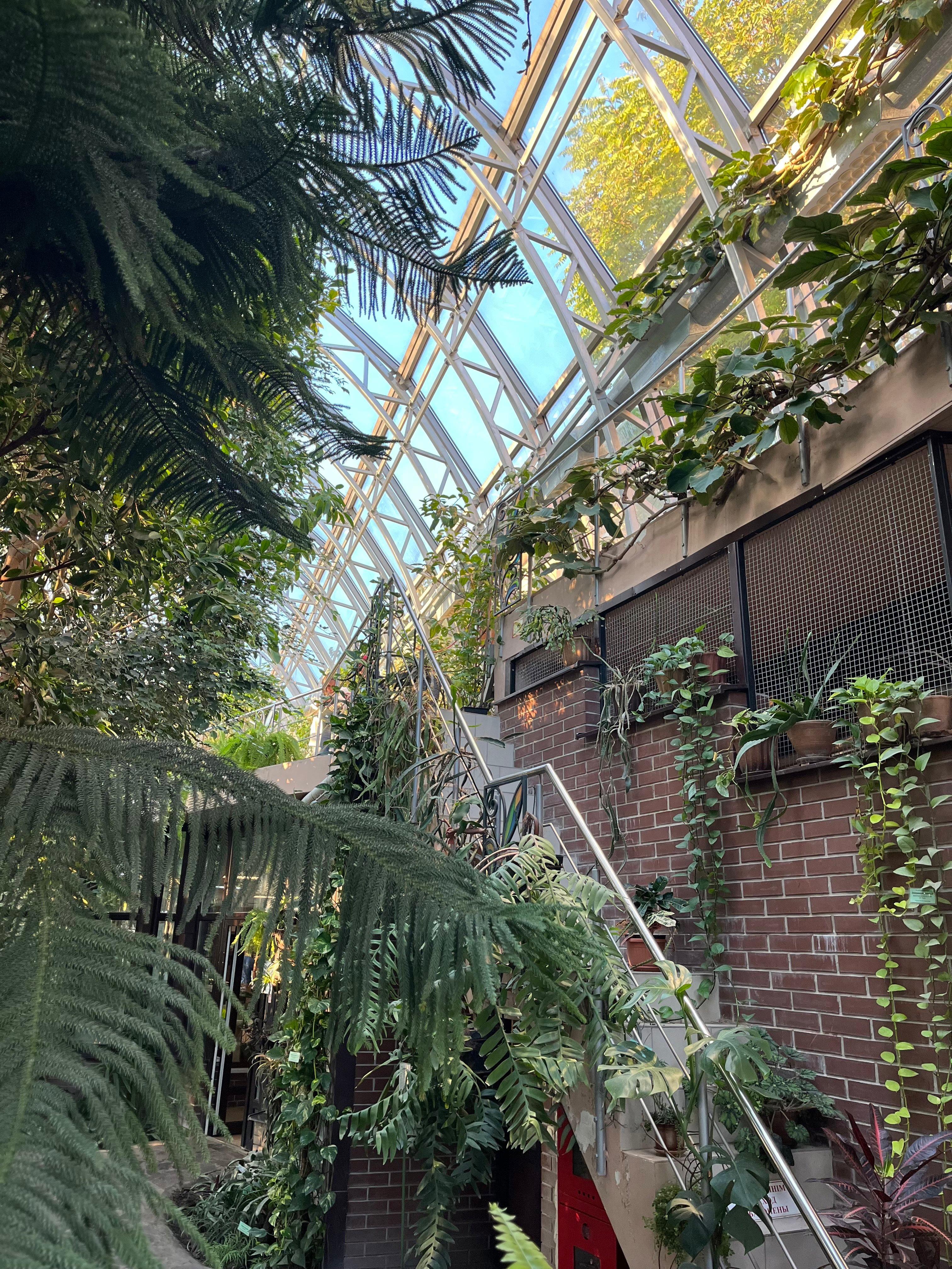 In Brest, near the old building of the Pushkin State University, there is an educational and methodological complex called "Winter Garden".