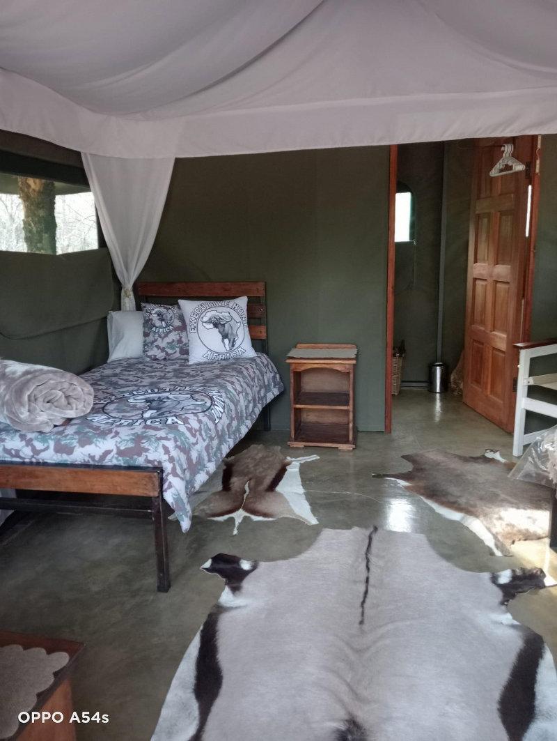 Enjoy traditional African, luxurious tented Safaris 