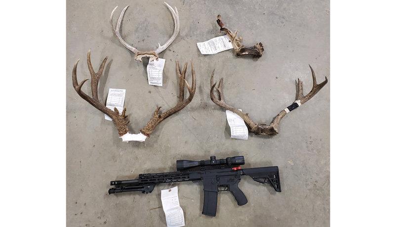 Montana man convicted of poaching four bucks