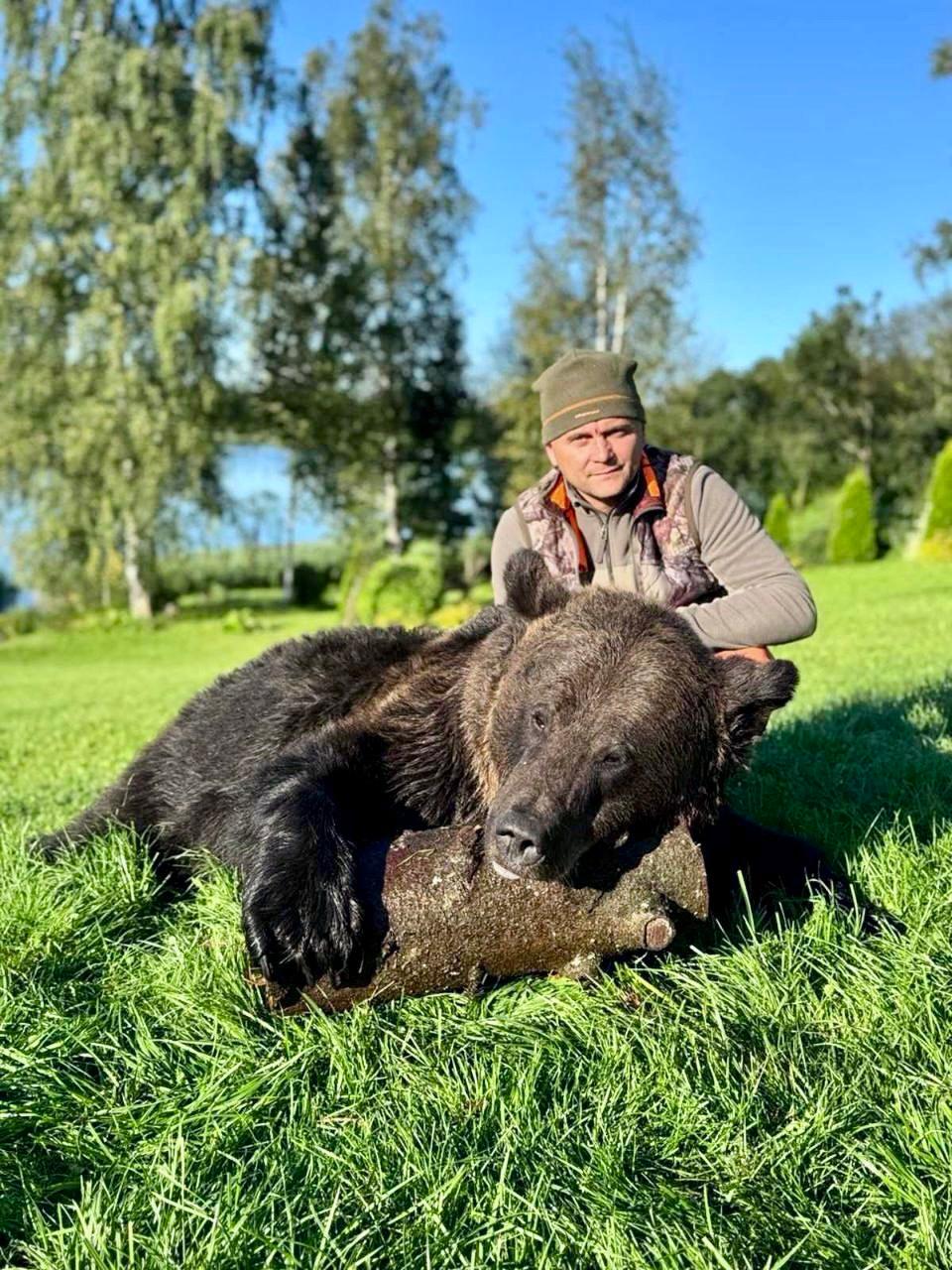 Bear Hunting in Belarus 2025: Legalization, Permits, Auctions, and Trophy Opportunities