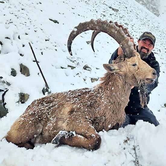 BUKHARAN IBEX AND WILD BOAR HUNTING IN TAJIKISTAN