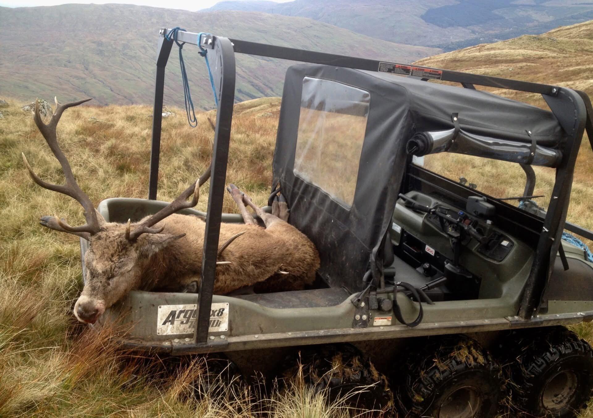 Deerstalking at Ardkinglas 🦌