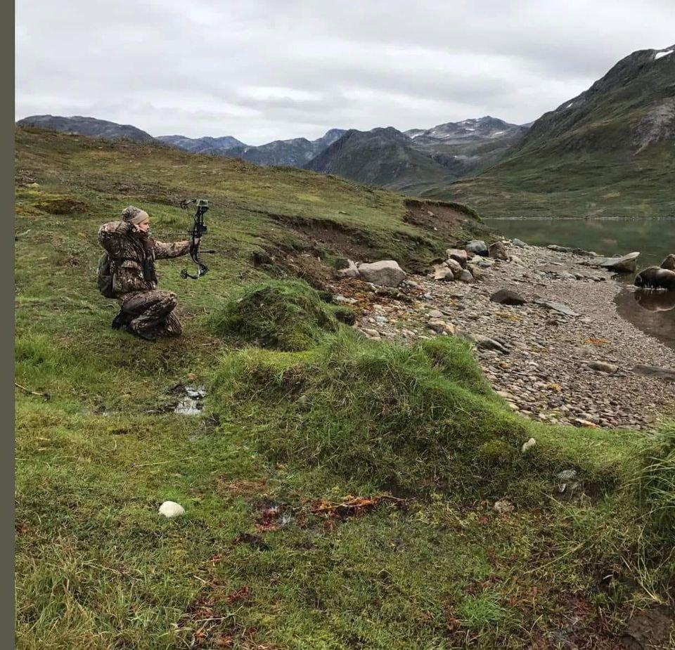 Go on a hunt in South Greenland.