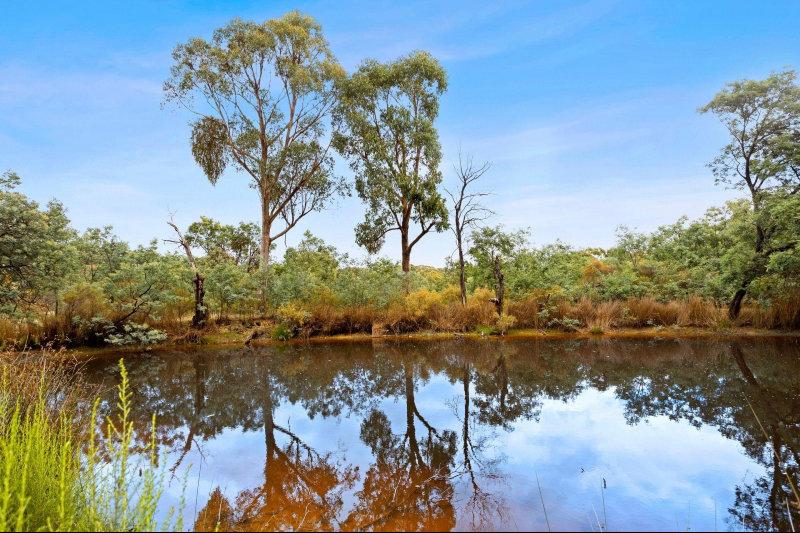 For Sale: 119 Sawpit Gully Road, Mount Franklin VIC 3461