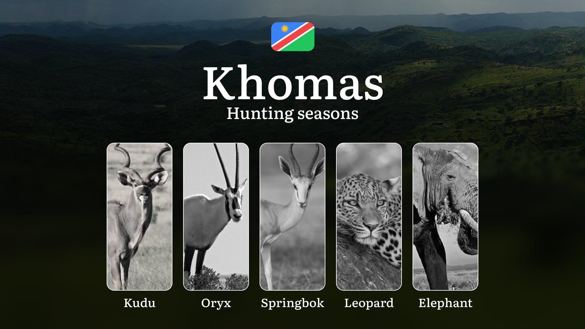 Khomas: Hunting Dates, Species Availability, Seasonal Restrictions, License, Possible Fines, Advice from Hunters, Time Planning, Equipment Essentials