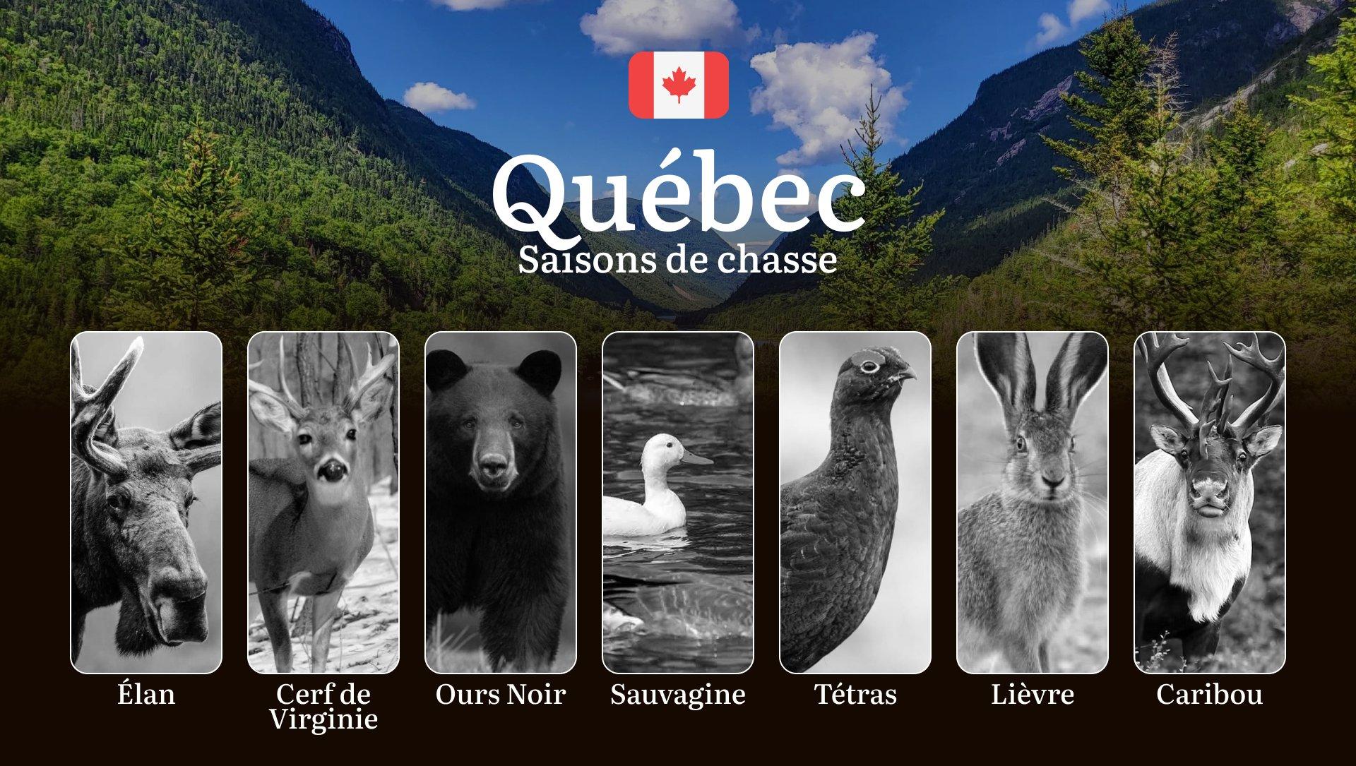 Saisons de chasse au QUÉBEC: Calendrier Complet, Réglementations Essentielles et Conseils Pratiques