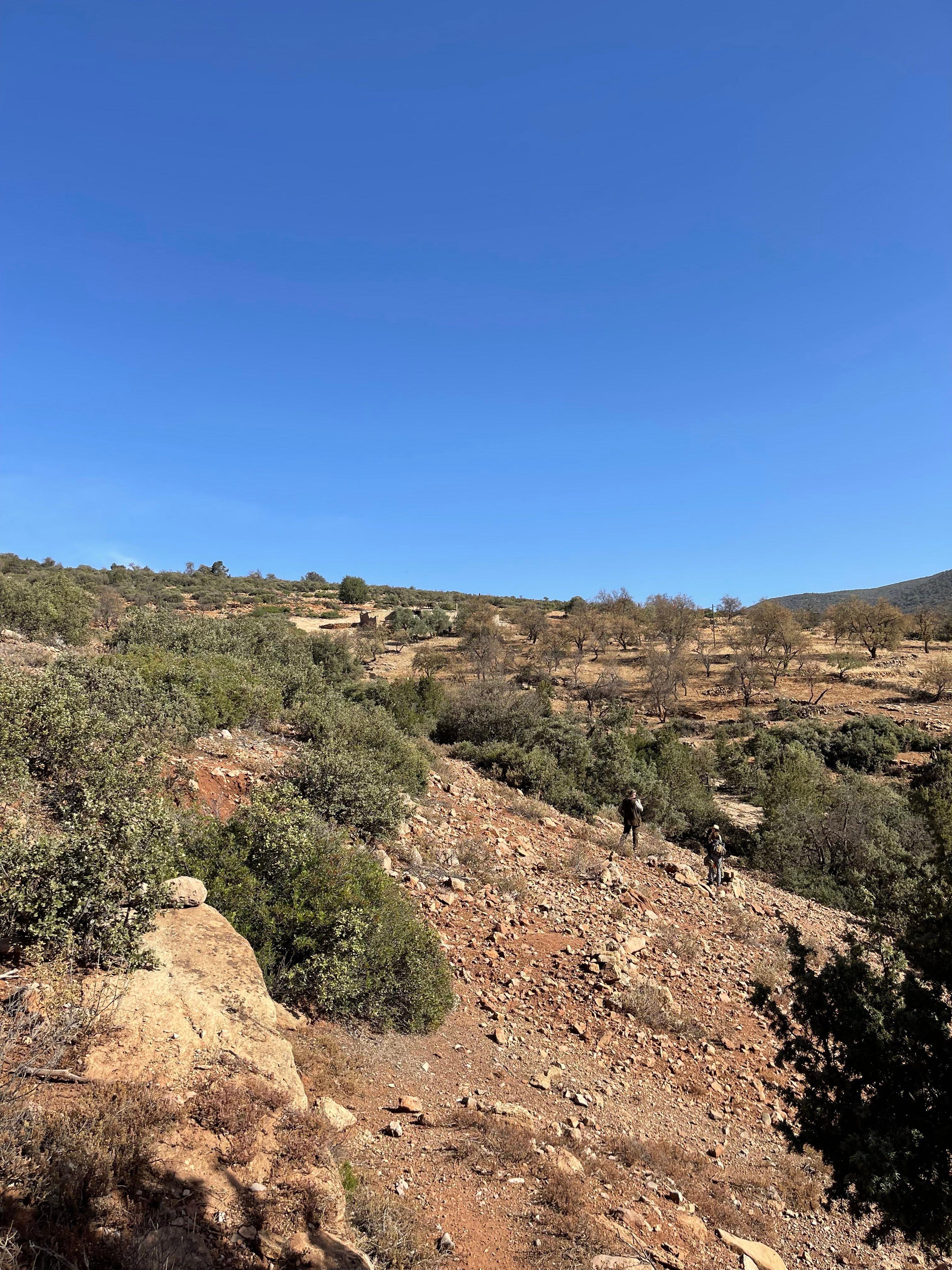 Shooting in the Atlas Mountains: Complete Hunting Guide for Morocco’s Premier Region