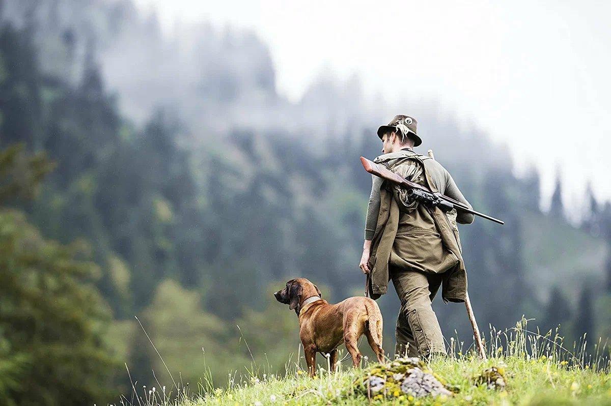 🦌🌿 Улога лова у очувању дивљих животиња је равнотежа и одржавање биодиверзитета!