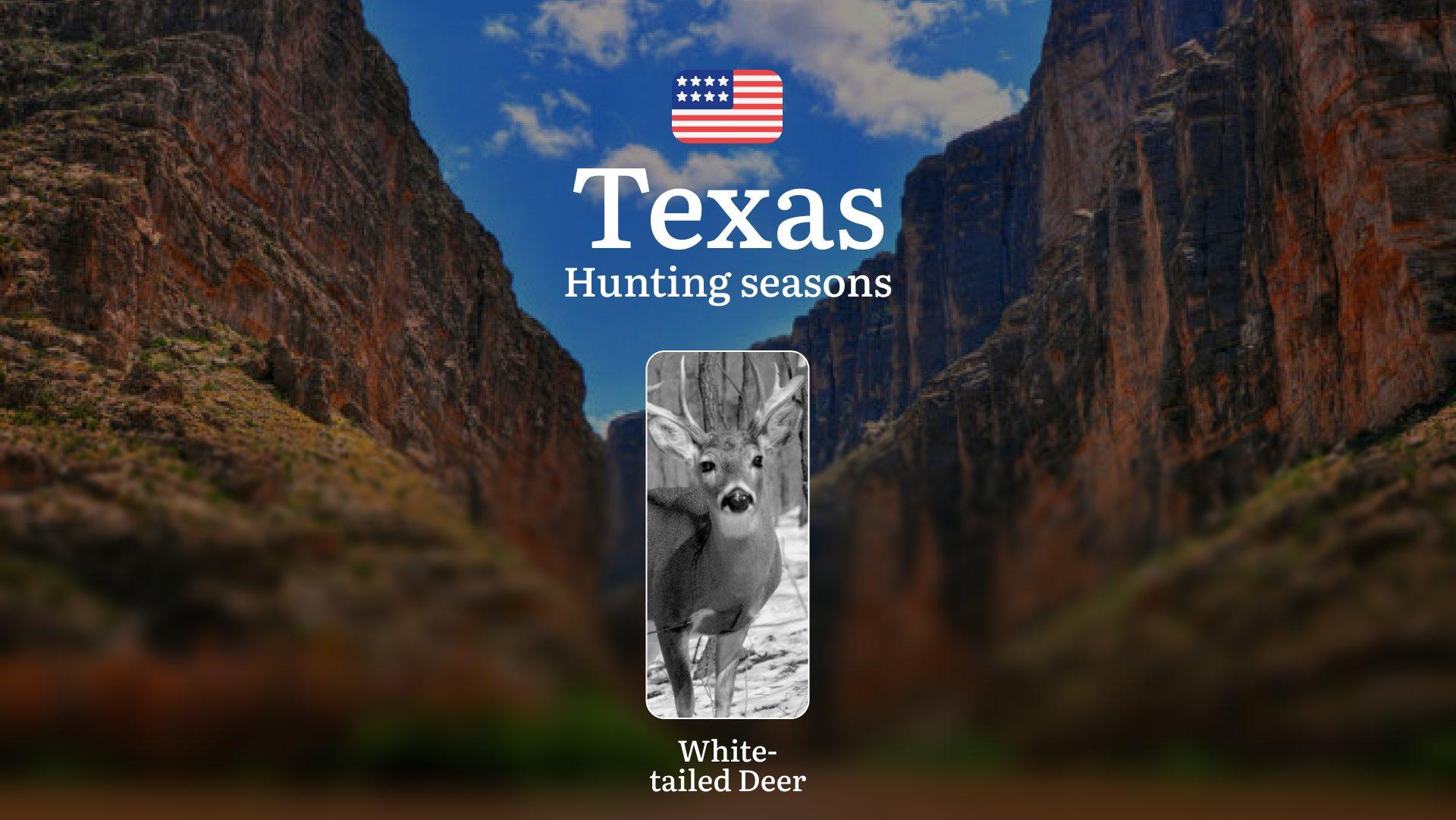Hunting Seasons for Whitetail Deer in Texas, USA: Hunting Periods, Open and Close Dates, Licenses, Rules, and and Restrictions for Hunting