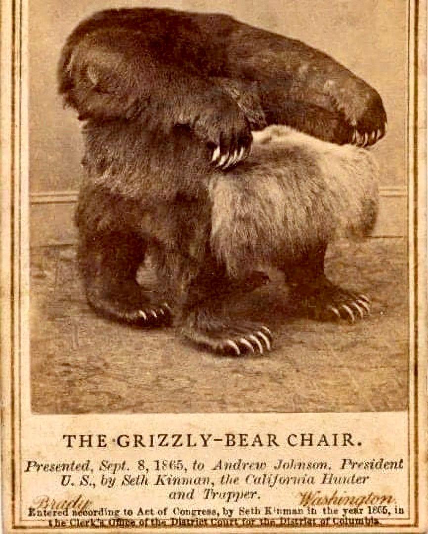 The Grizzly Bear Chair is a gift from hunter Seth Kinman to President Andrew Johnson.