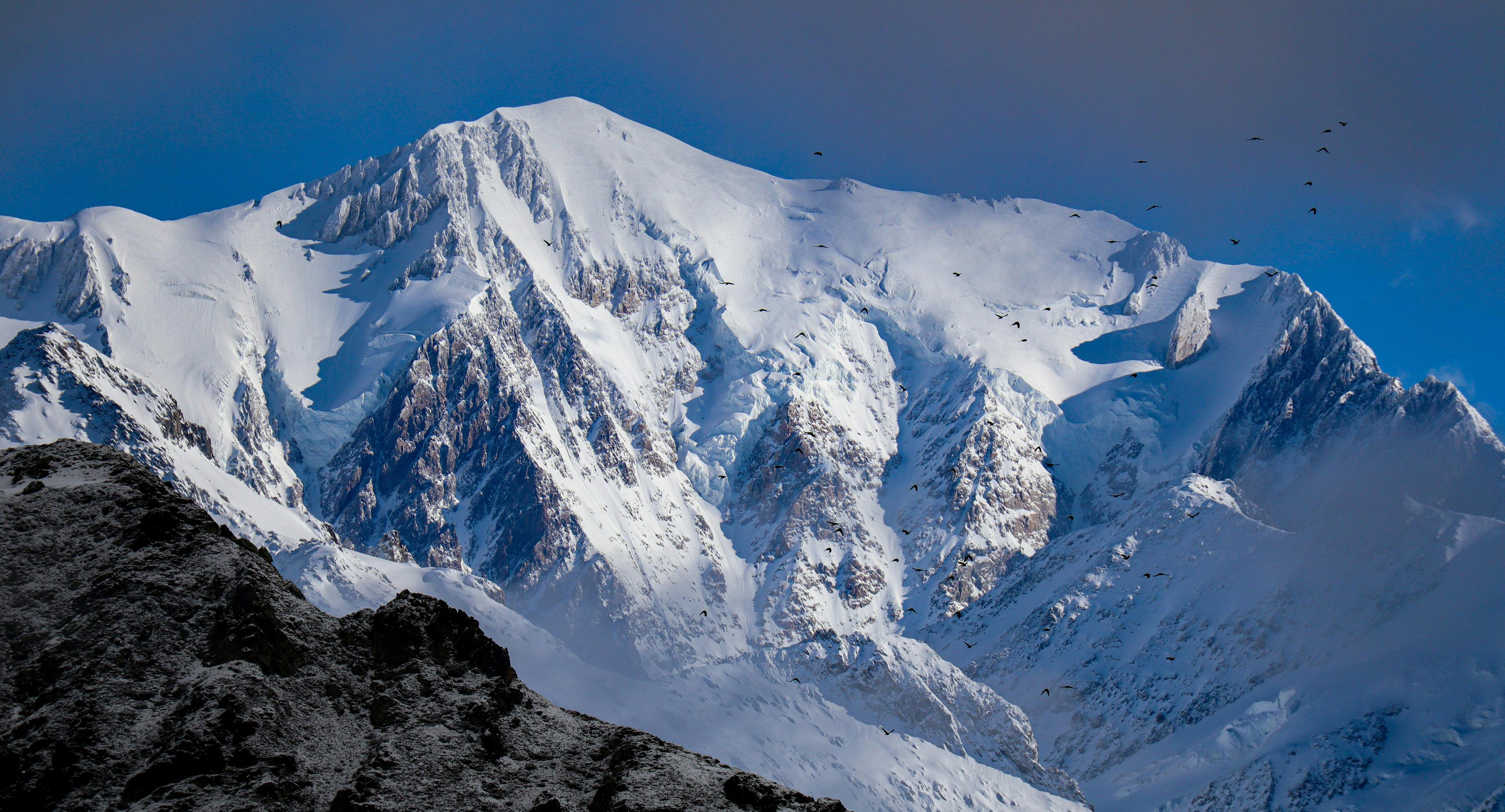 Chasse dans les ALPES: Paysages majestueux, types de gibier, lois locales et traditions cynégétiques régionales