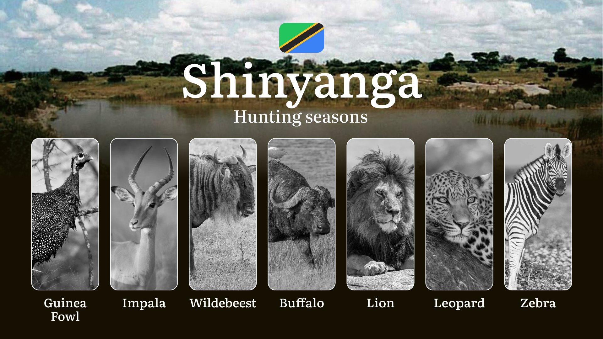 Shinyanga: Hunting Timeframes, Species and Seasonal Bans, Participating in the Hunt, Getting Licensed, Penalties That May Spoil Season, Expert Recommendations, Timing, Tools