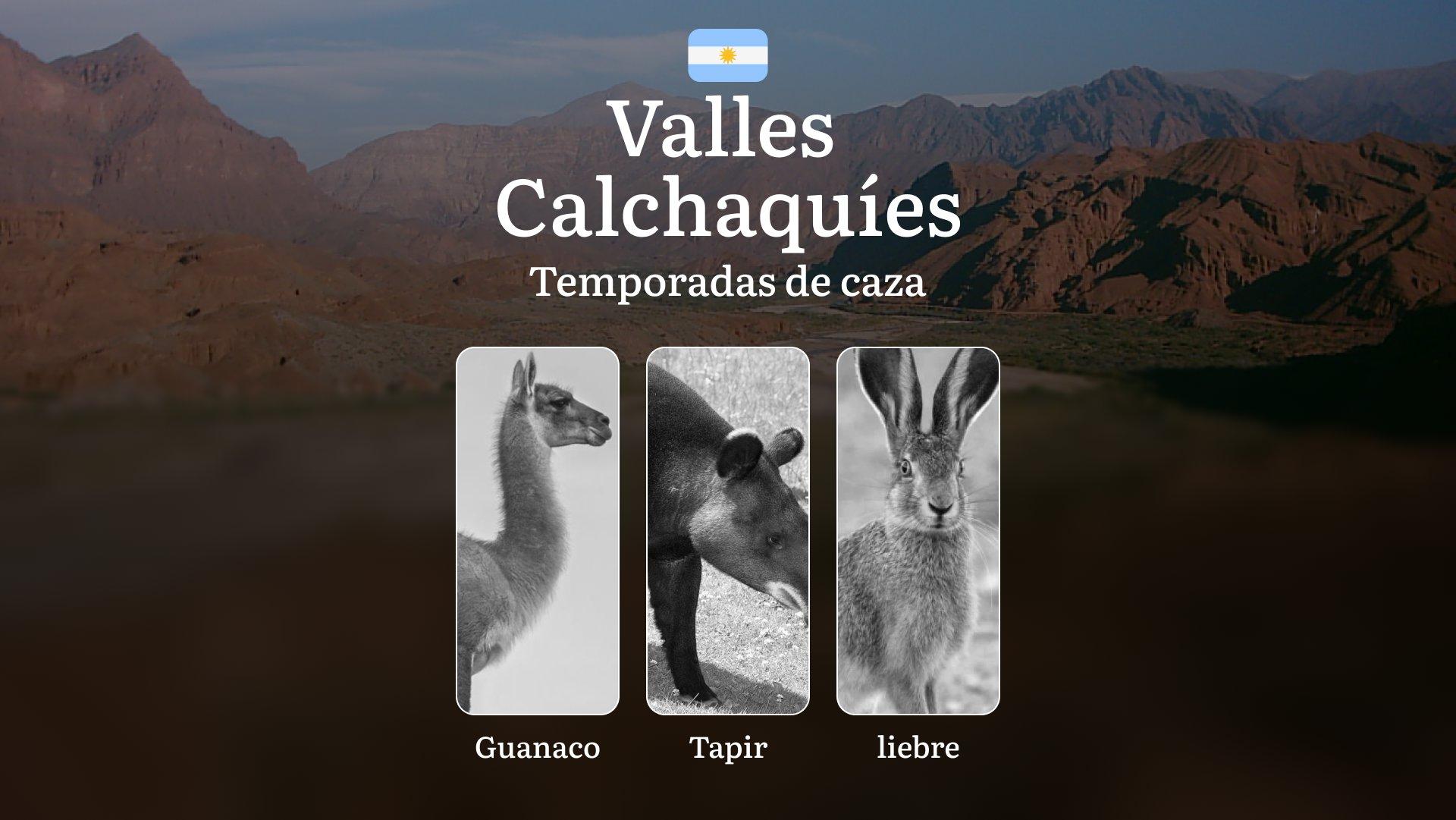 Temporadas de caza en Argentina: región Zona de los Valles Calchaquíes – Restricciones y prohibiciones en la caza, Sanciones y responsabilidad,  Consejos para la caza