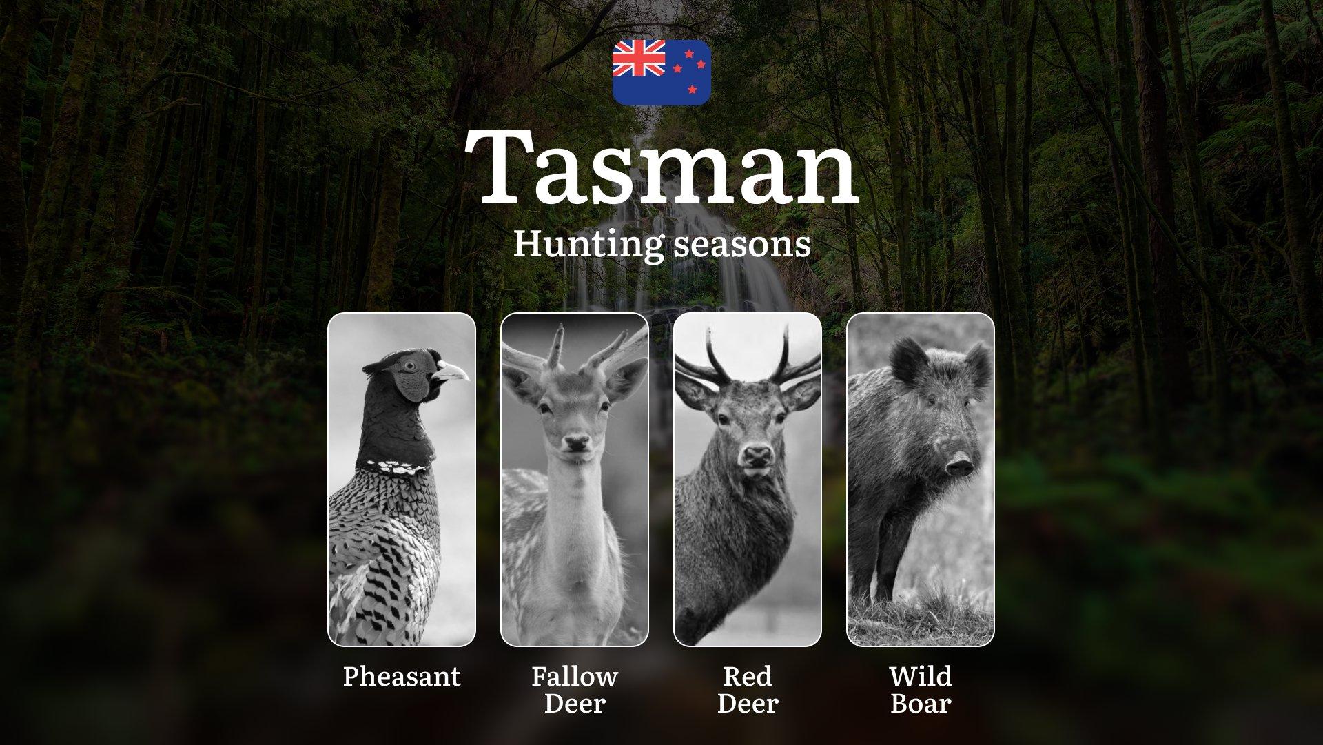 TASMAN Region, New Zealand: When, Where and How to Hunt Legally, Hunting Seasons, Consequences of Illegal Hunting, Documents and Licenses