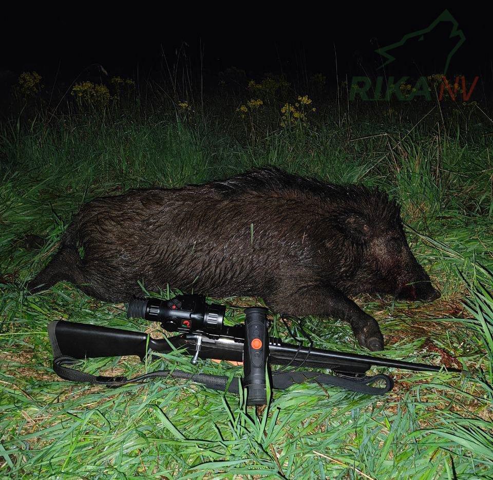 Dobro jutro svima od Olega iz bjeloruskog lovišta🐗🇧🇾
