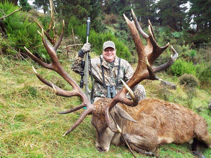 Red stag hunting during rut is one of the most exiting experience in hunters life.