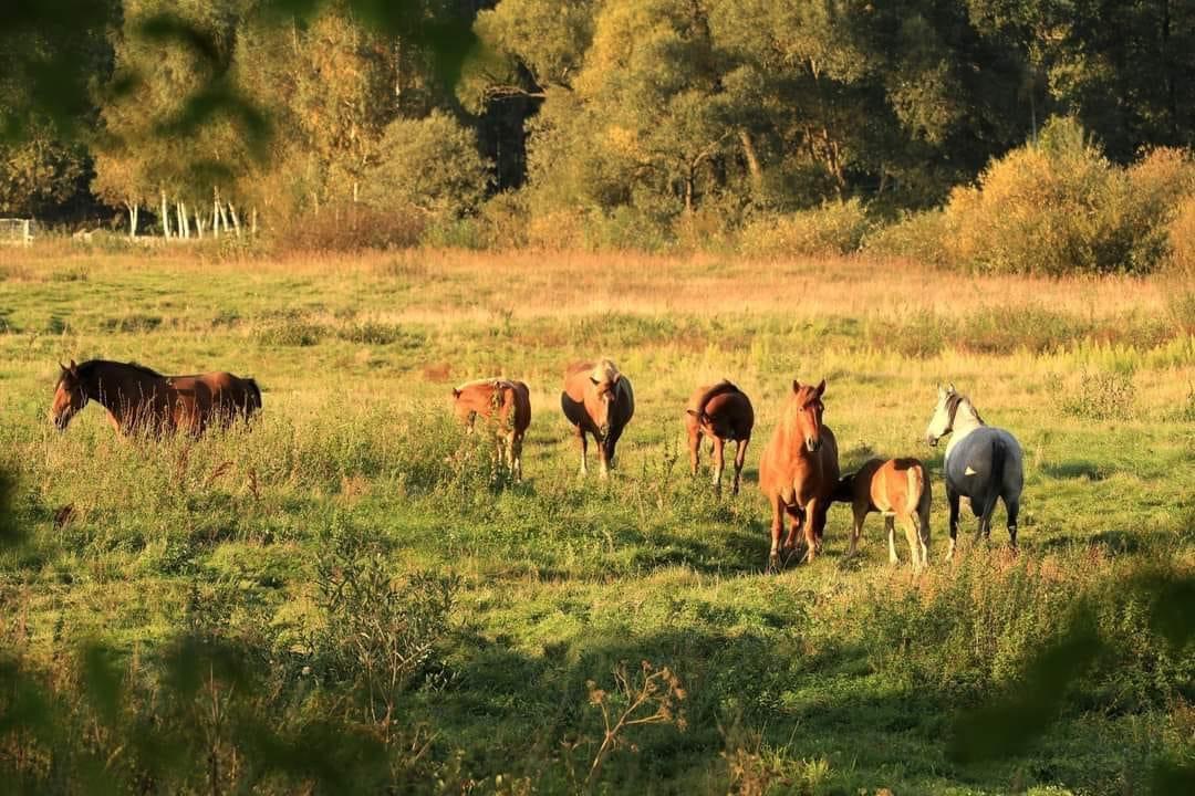 This is Heaven on earth in Poland.
