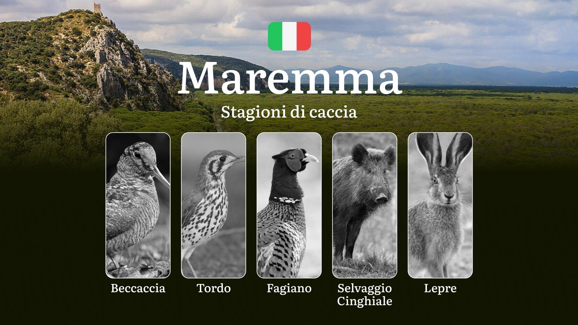 Dalle Distese della Maremma alle Zone Umide: Calendario Venatorio Completo con Date e Aree Migliori