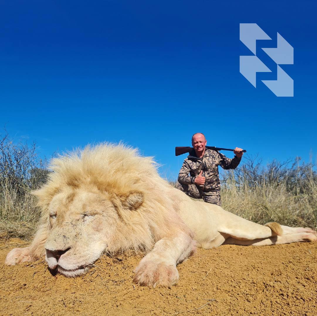 7 činjenica o južnoafričkim lavovima 🦁