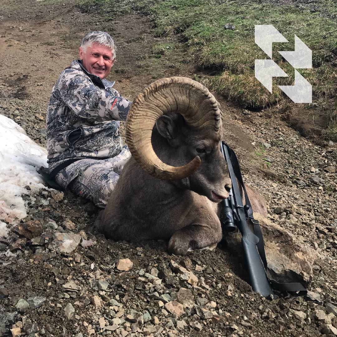 Lov na kamčatsku ovcu bighorn u kolovozu 2023