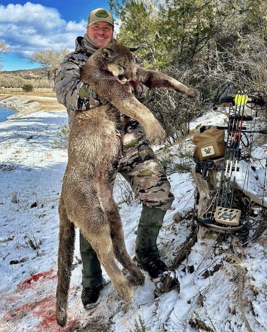 Congrats to our good friend Pat from Driven Hunter, as he was able to tag his 1st mountain lion after 40 years of hunting.