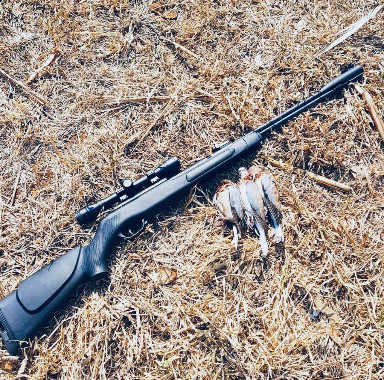 Bird Hunting in Zambia: A Complete Guide for Hunters (Species, Seasons, Tactics & Tours)