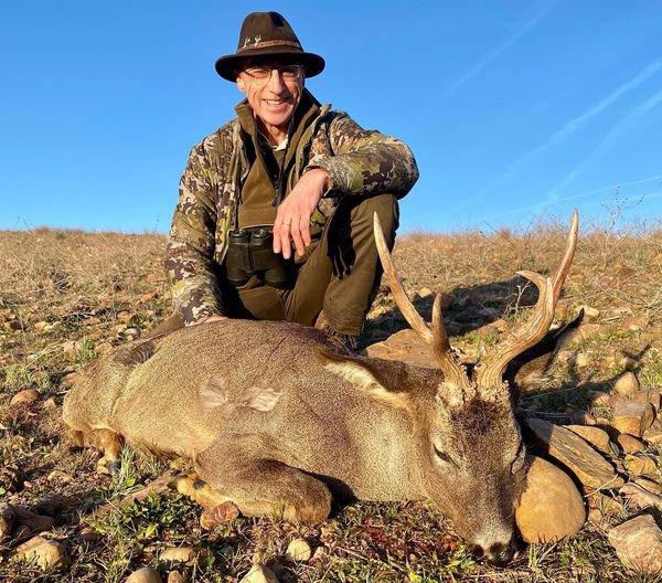 Beautiful and somehow, atypical, roebuck harvested by our Belgian friend after a more than exciting stalk.
