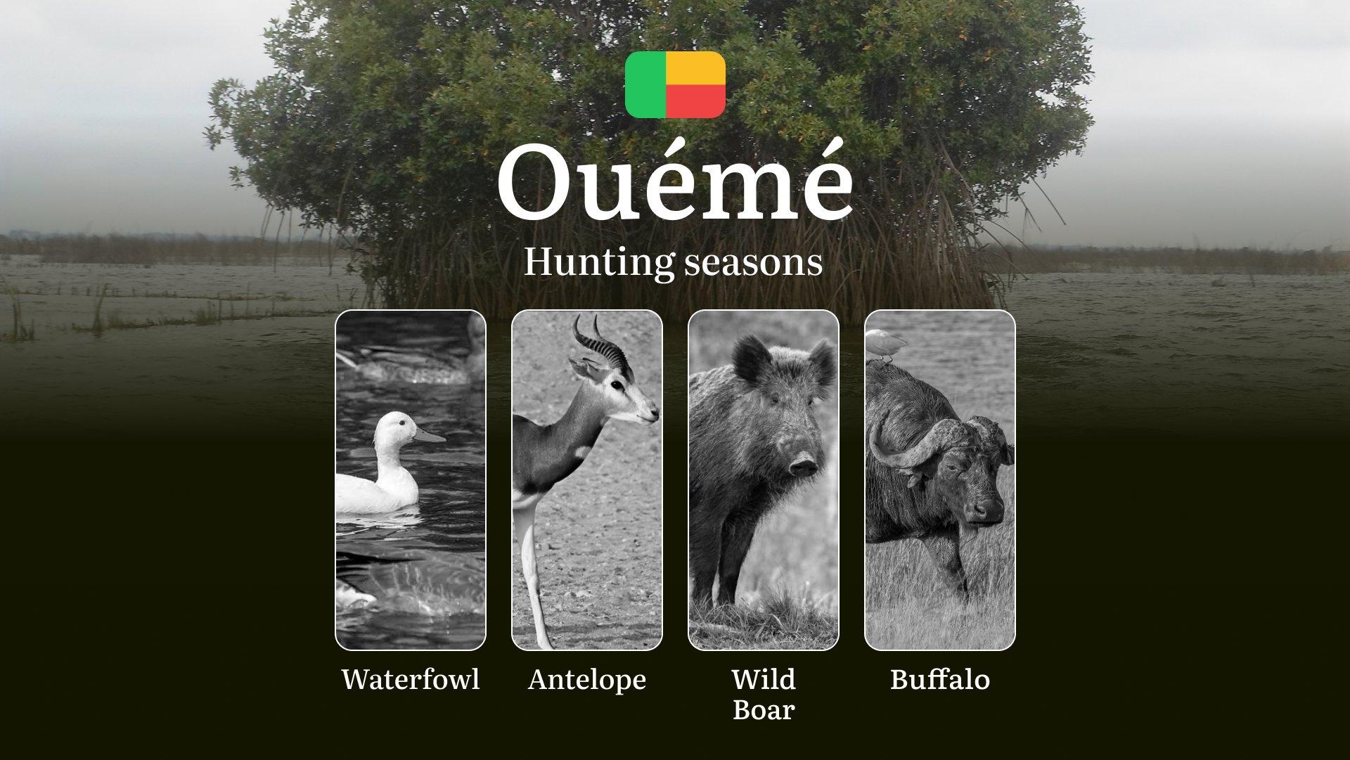 Hunting Dates in Benin, OUÉMÉ Region: Hunting Periods and Time, Permits and Rules, Practical Tips and Tactics for Hunters