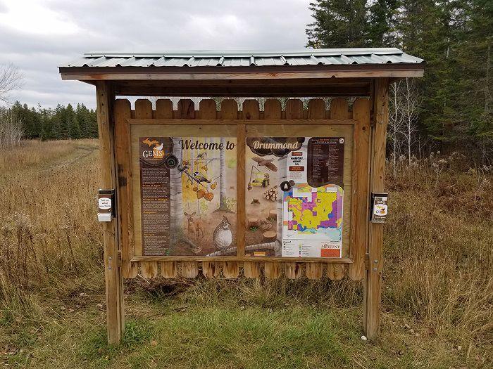 Use These Tips – Woodcock and Grouse Hunting in Michigan