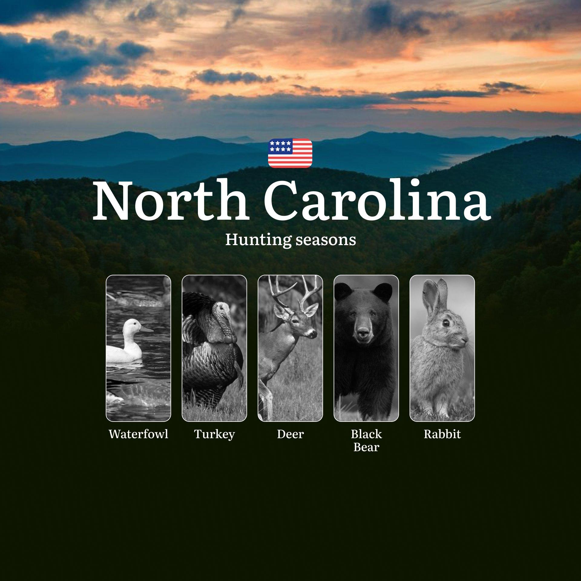 Hunting Seasons in North Carolina: Rules and Regulations, Restrictions and Prohibitions, Animal Activity and Seasons of Hunting