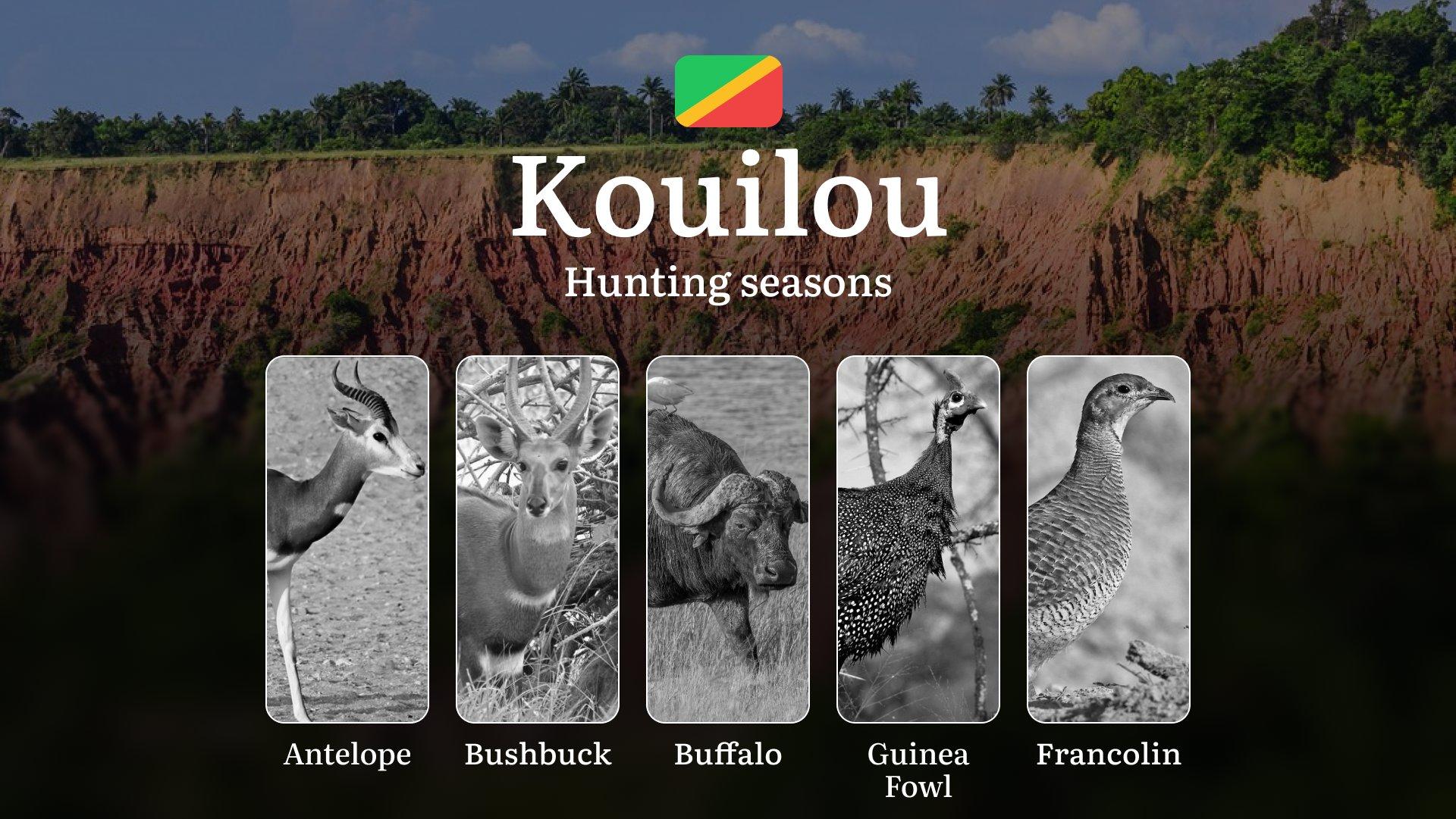 Hunting Seasons in the Republic of the Congo, Kouilou Region: Dates and Time of Hunting, Tactics and Tips, Rules and Regulations