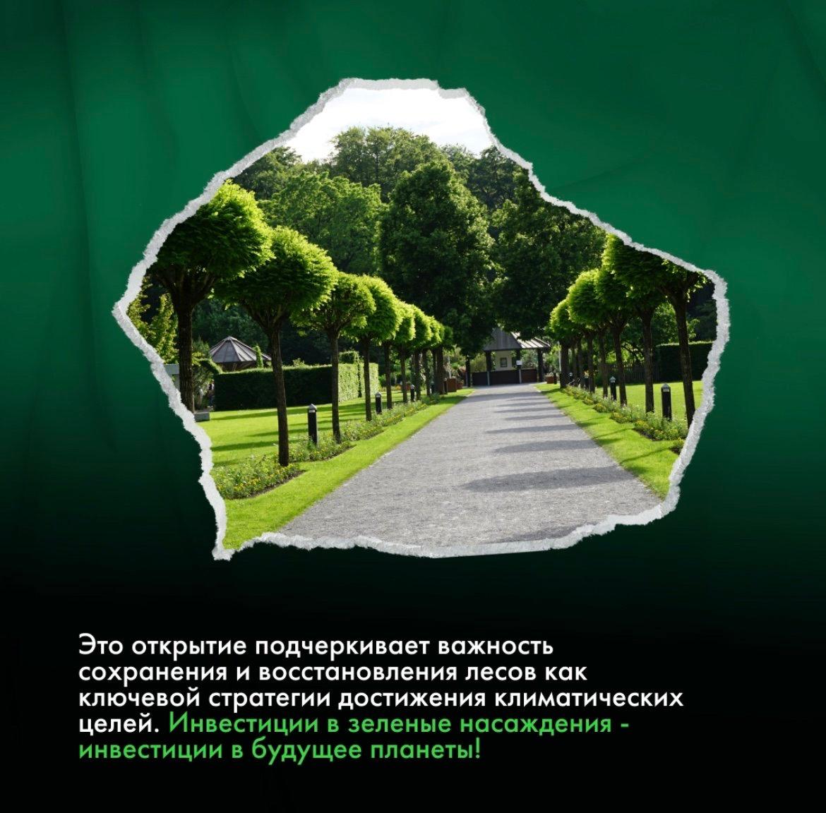 Деревья поглощают опасный метан 