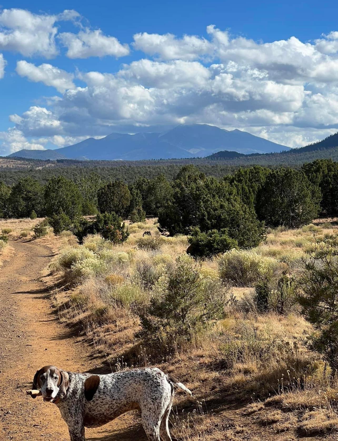 Being off grid next to state land gives you endless options and opportunities !