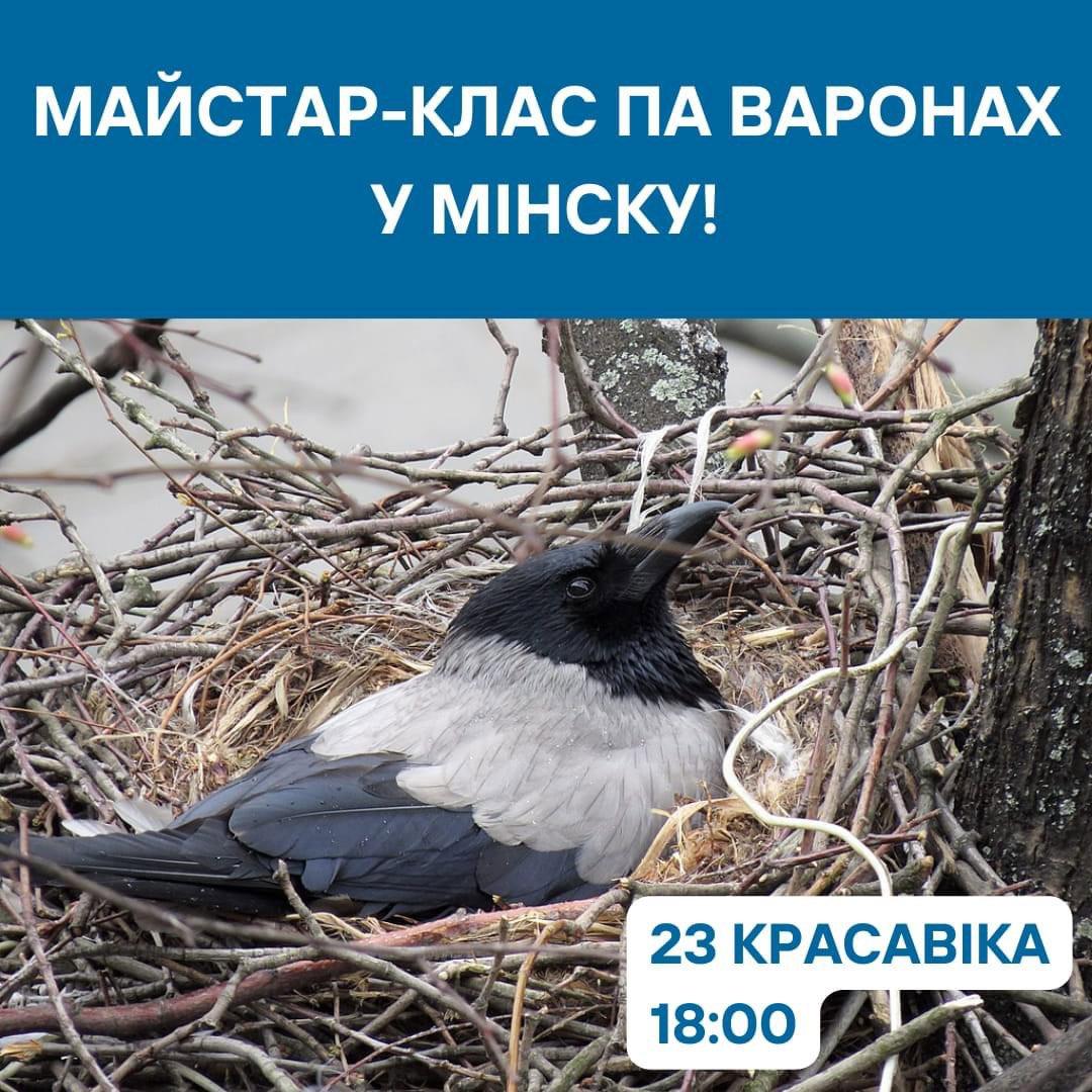 Калі хочаш зрабіць унёсак у вывучэнне Птушкі года – запрашаем на птушыную прагулку з арнітолагам Аляксандрам Вінчэўскім!