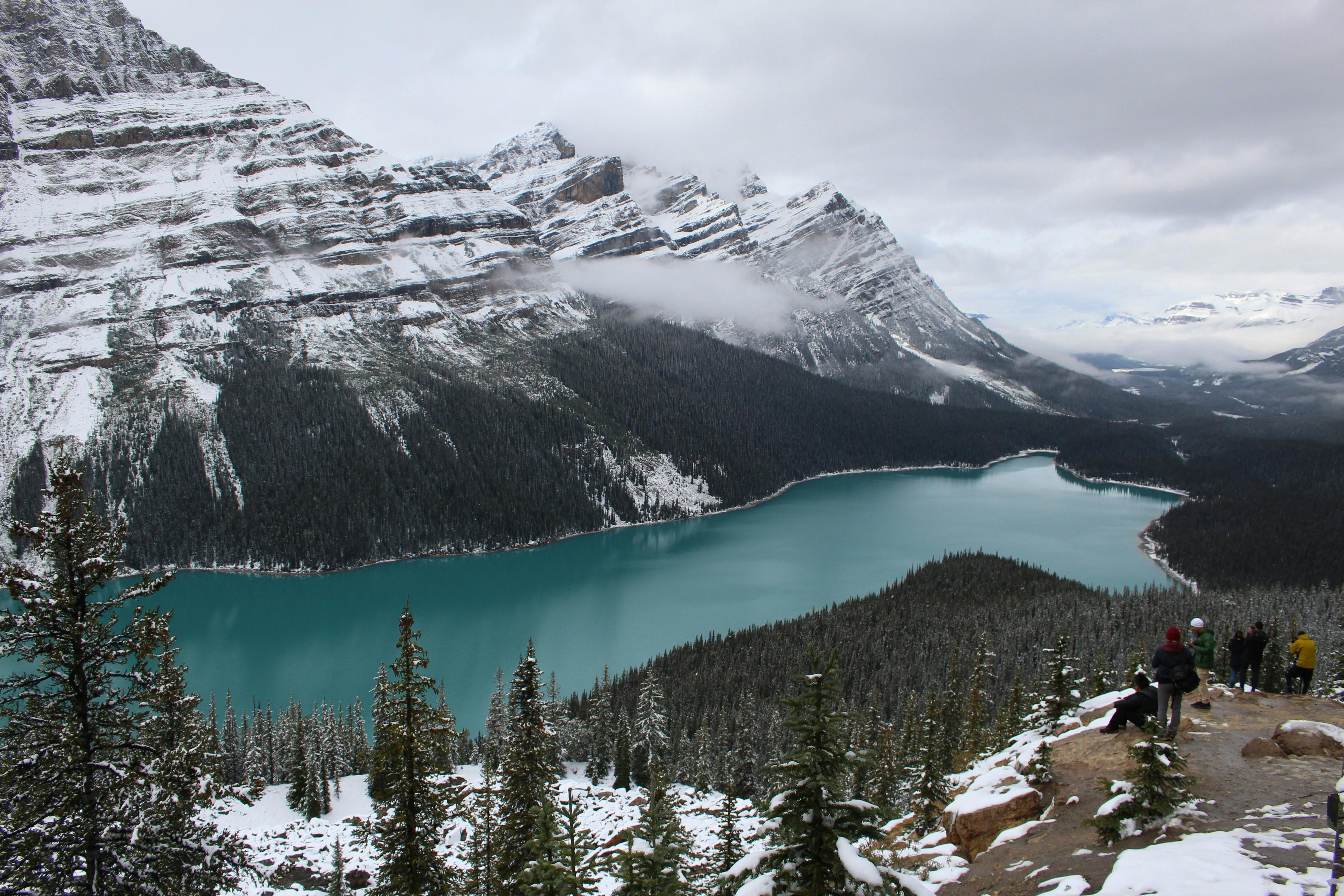 La chasse dans le PARC JASPER au Canada : Caractéristiques géographiques, espèces locales et stratégies de chasse alpine