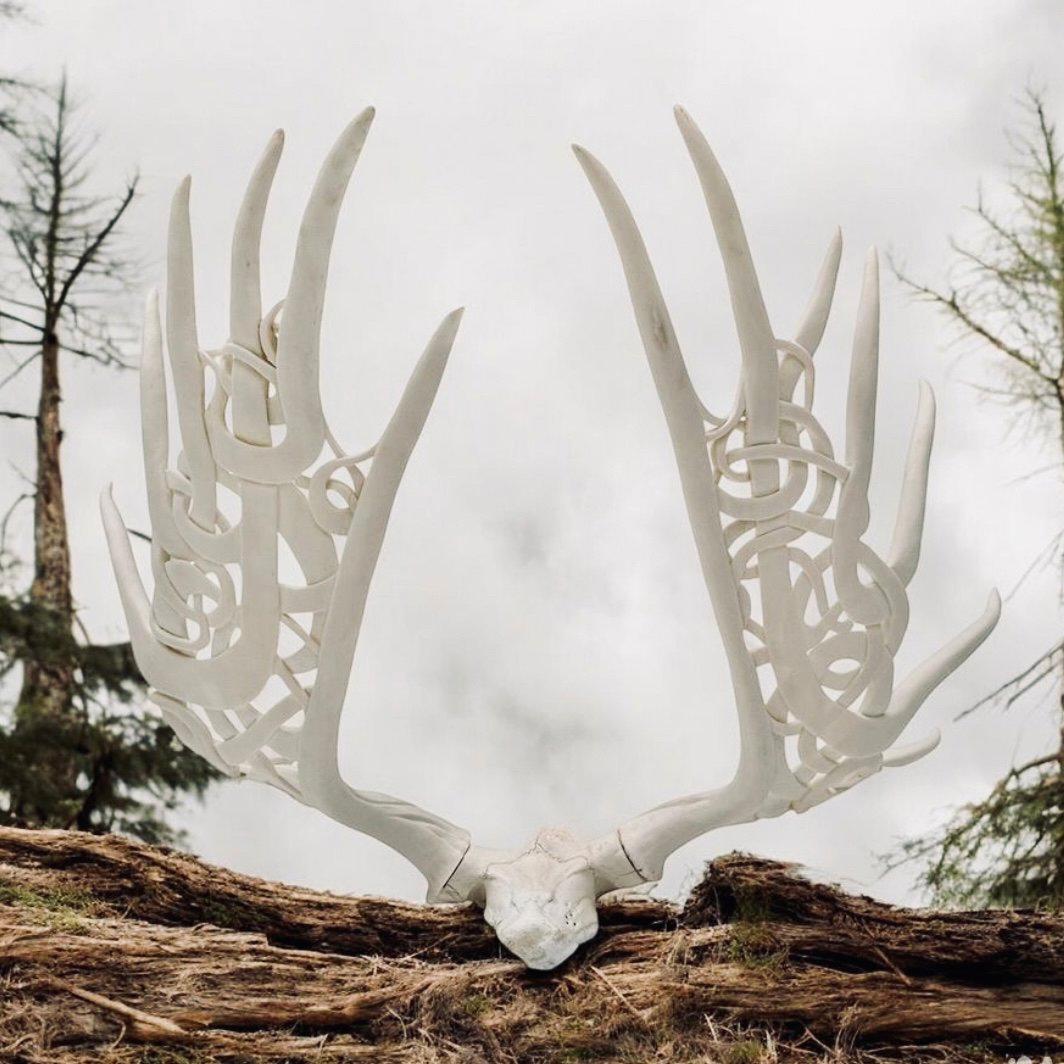 I don't really like it when trophy horns are manipulated, varnished or painted...